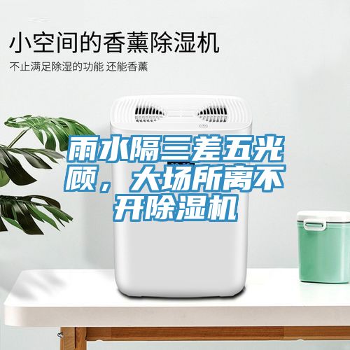 雨水隔三差五光顧，大場所離不開除濕機