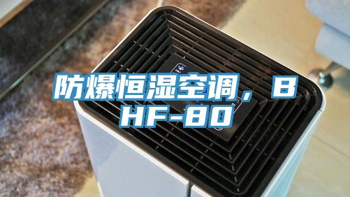 防爆恒濕空調(diào)，BHF-80