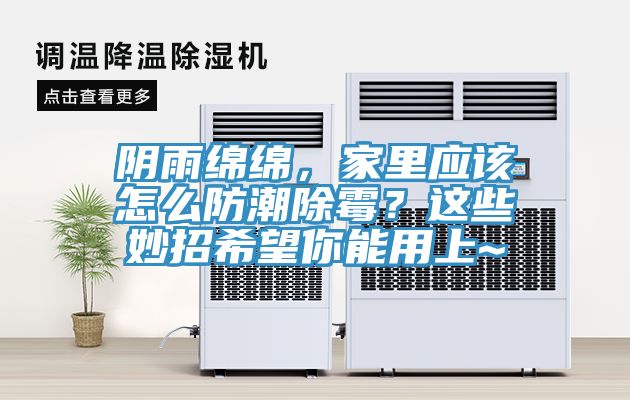 陰雨綿綿，家里應(yīng)該怎么防潮除霉？這些妙招希望你能用上~