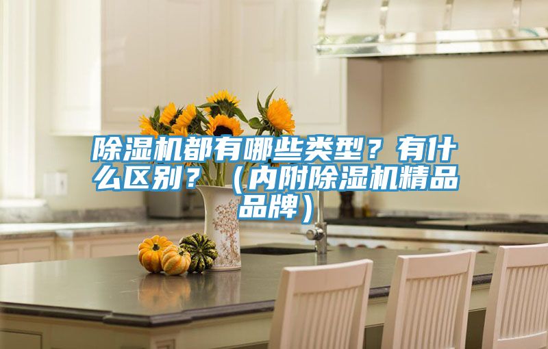 除濕機都有哪些類型？有什么區(qū)別？（內(nèi)附除濕機精品品牌）