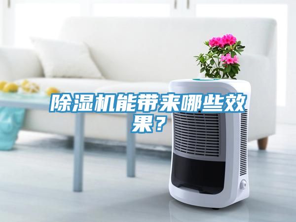 除濕機(jī)能帶來哪些效果？