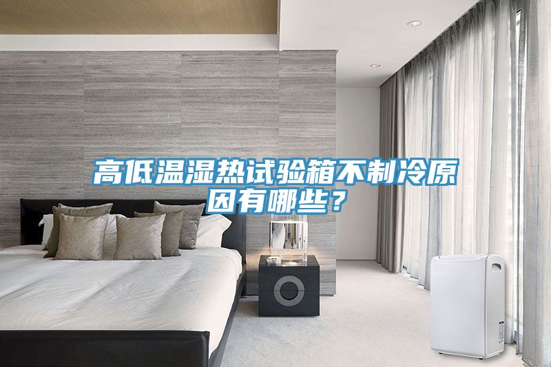 高低溫濕熱試驗(yàn)箱不制冷原因有哪些？