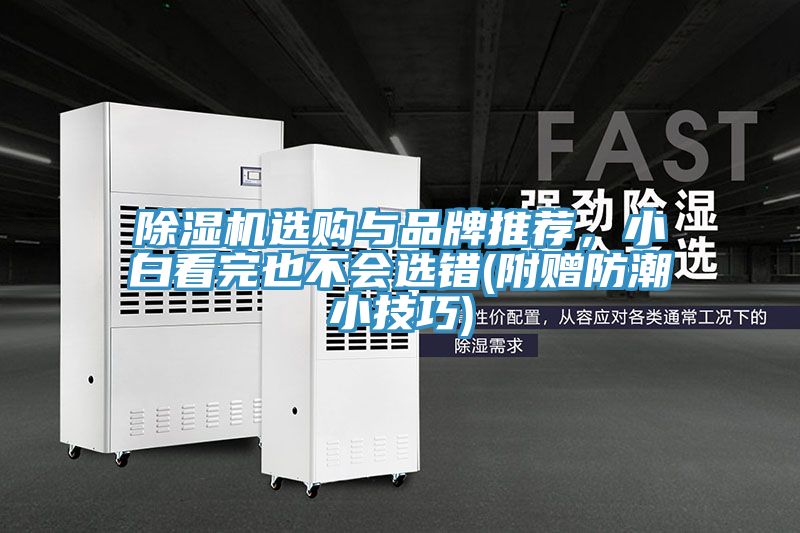 除濕機選購與品牌推薦，小白看完也不會選錯(附贈防潮小技巧)