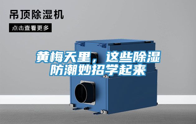 黃梅天里，這些除濕防潮妙招學(xué)起來