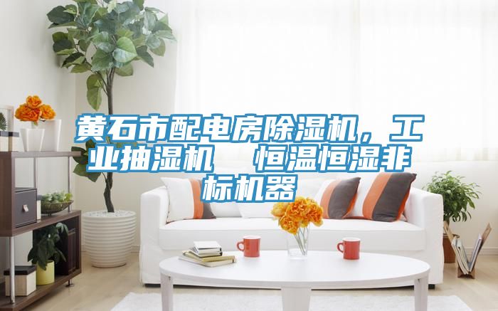 黃石市配電房除濕機(jī)，工業(yè)抽濕機(jī)  恒溫恒濕非標(biāo)機(jī)器