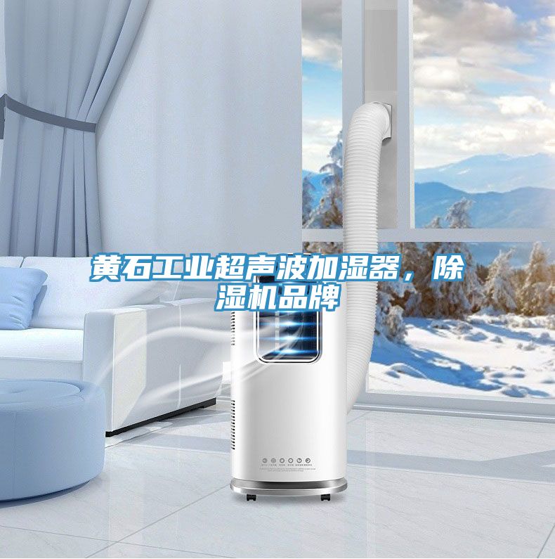 黃石工業(yè)超聲波加濕器，除濕機(jī)品牌