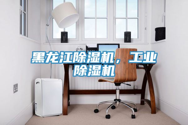 黑龍江除濕機(jī)，工業(yè)除濕機(jī)